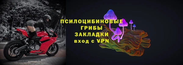 PSILOCYBIN Волоколамск