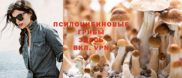 PSILOCYBIN Волоколамск