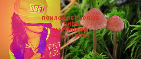 PSILOCYBIN Волоколамск